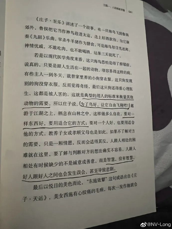 安旭龙双冠加冕FMVP 手游打野登顶之路